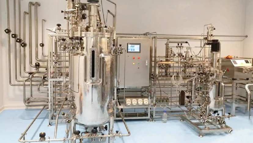 Bioreactors & Fermenters